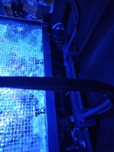 50 Gallon IM Nuvo AIO Reef Saltwatertank